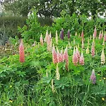 Du Country house Wavrans-sur-l'Aa