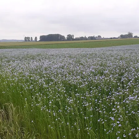 Landsted Du