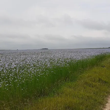 Landsted Du Wavrans-sur-l'Aa