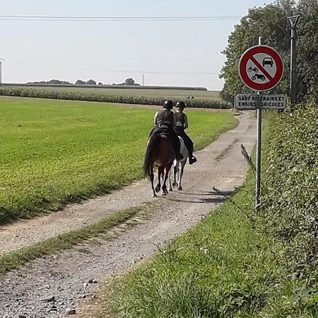 Du Venkovský dům *
